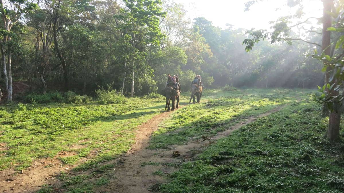 Chitwan National Park Tour — Nepal